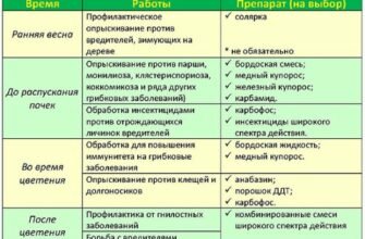 Как определить подходящий момент для опрыскивания яблоней от вредителей, чтобы не повредить урожай? Как определить подходящий момент для опрыскивания яблоней от вредителей, чтобы не повредить урожай?